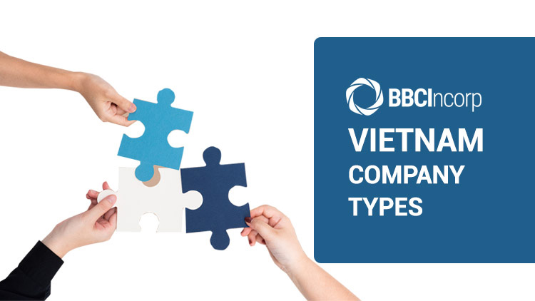 Vietnam company types