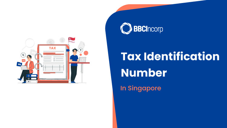 Singapore Tax Identification Number TIN Singapore Tax Identification Number TIN